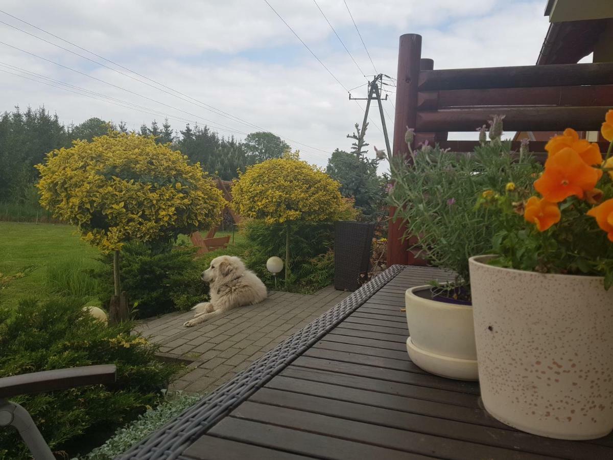 Domki I Pokoje Goscinne A A Malinowscy Stegna  Exterior photo